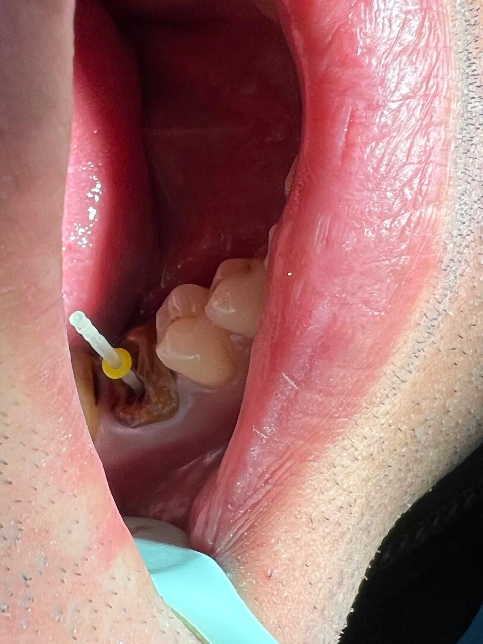 Img 20251008 wa0031