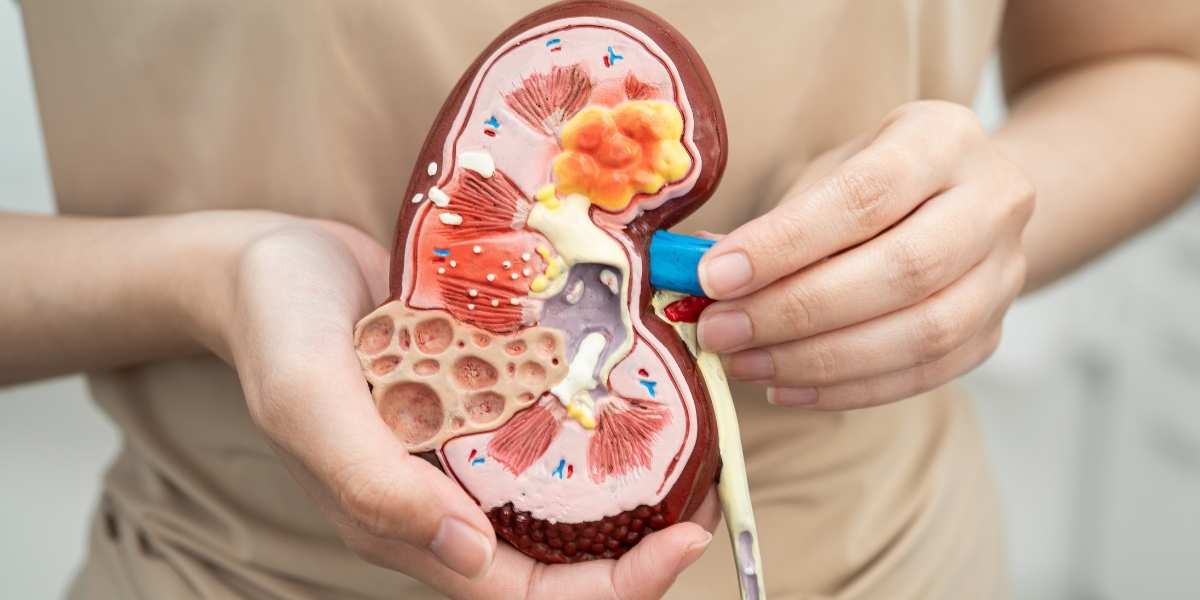 Pediatric Nephrology 6 Diagnosis & treatment of kidney diseases at apollo jbp hospitals