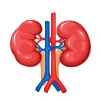 Pediatric Nephrology 2 Comprehensive kidney care for children at apollo jbp hospitals