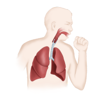 Comprehensive Lung &Amp; Airway Care At Apollo Jbp Hospital Jabalpur Comprehensive lung & airway care at apollo jbp hospital jabalpur