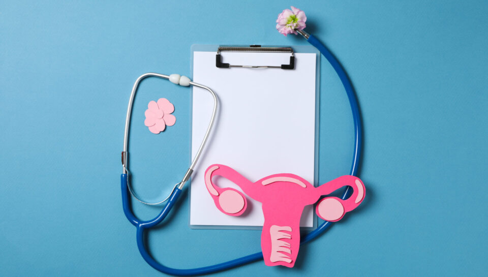 Women's health and women's healthcare concept with uterus