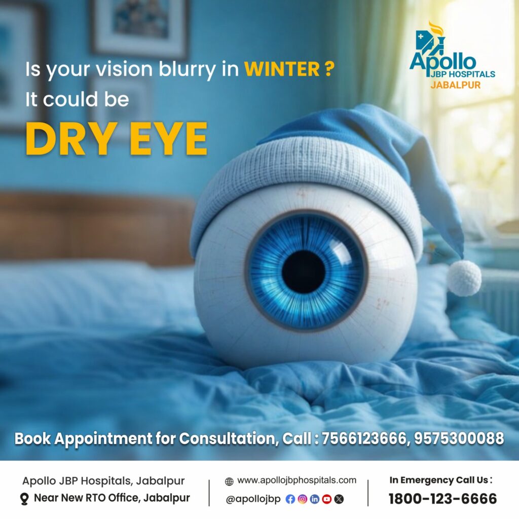 Whatsapp image 2025 12 25 at 11. 59. 22 am